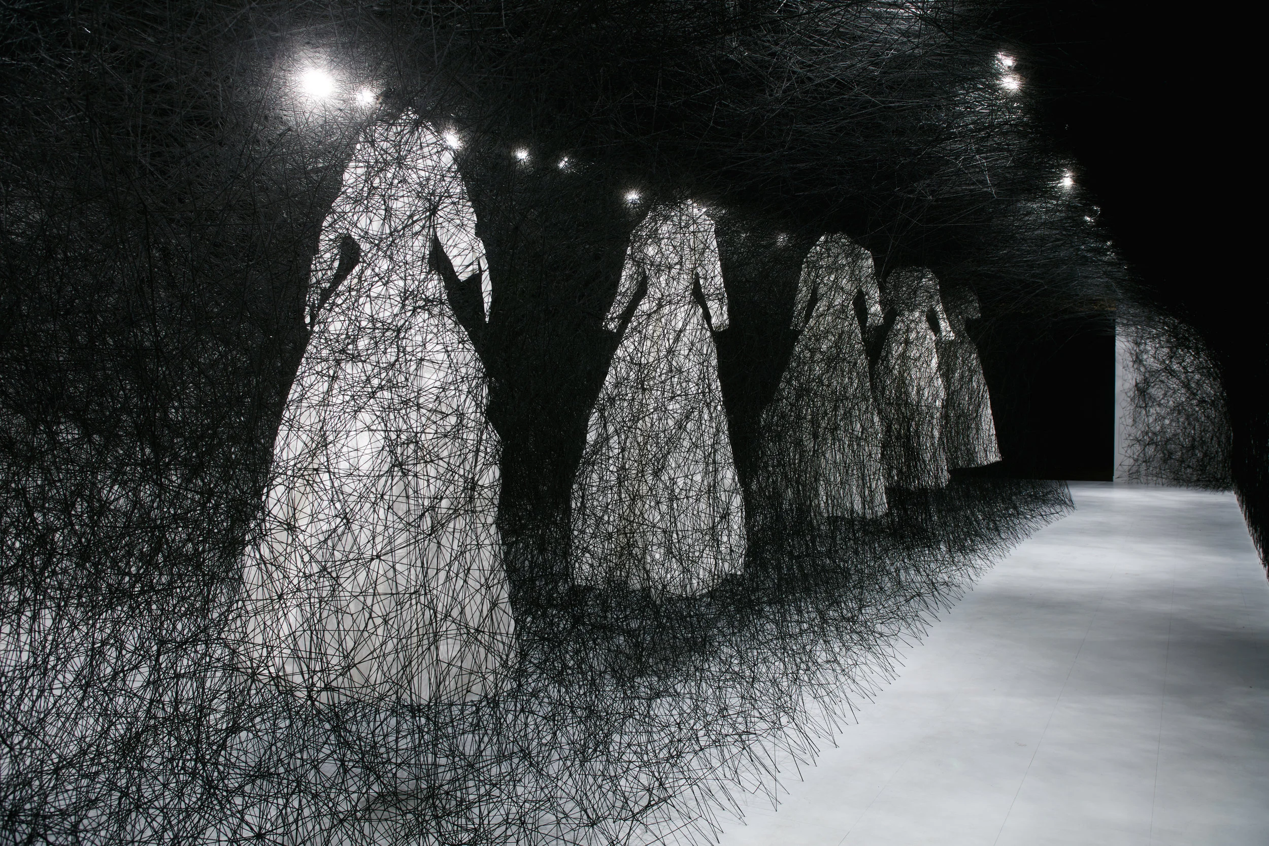 CHIHARU SHIOTA–塩田千春